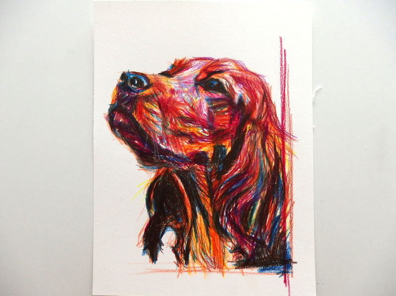 Paul Martin dog